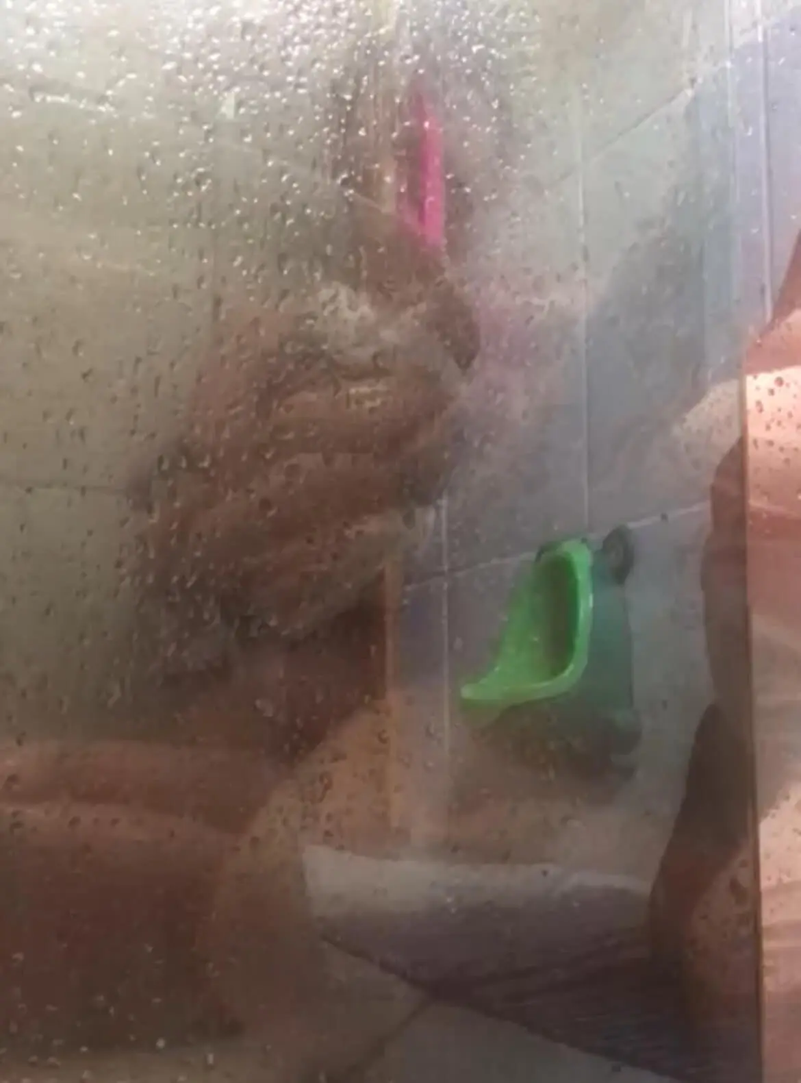 Um parto domiciliar não planejado